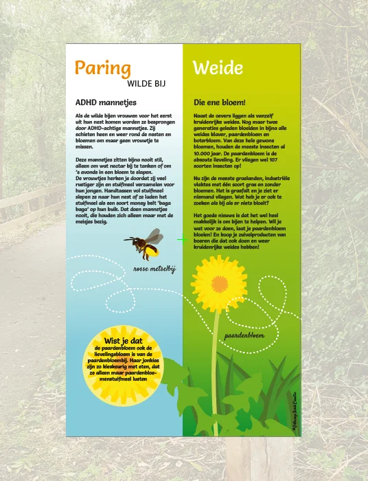 Het grafische ontwerp vertelt over het leven van wilde bijen en hun voedsel.
