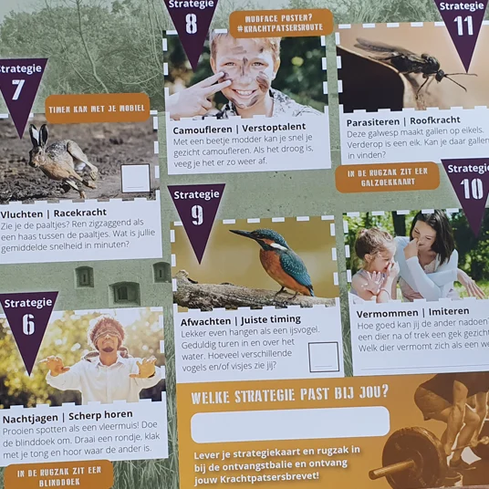 Dieren en hun strategieën vormen de basis voor de opdrachten op de kaart.