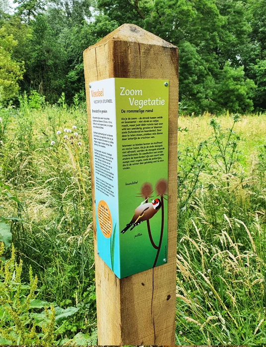 Tussen de beplanting maakt een dubbelzijdig paneel de wereld van wilde bijen zichtbaar.