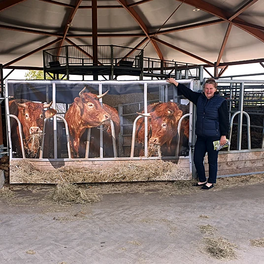 Spandoeken laten de koeien zien, ook wanneer ze buiten in de wei staan.
