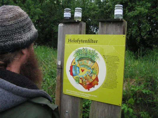 Een bezoeker leest hoe het helofytenfilter werkt.