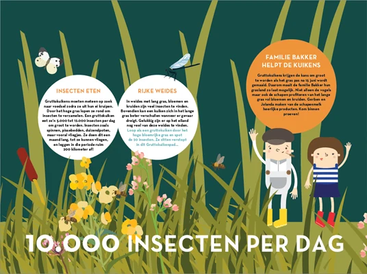 Grafische uitleg maakt de relatie tussen weidevogels, insecten en het boerenland zichtbaar.